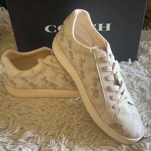 Lowline Low Top Sneaker